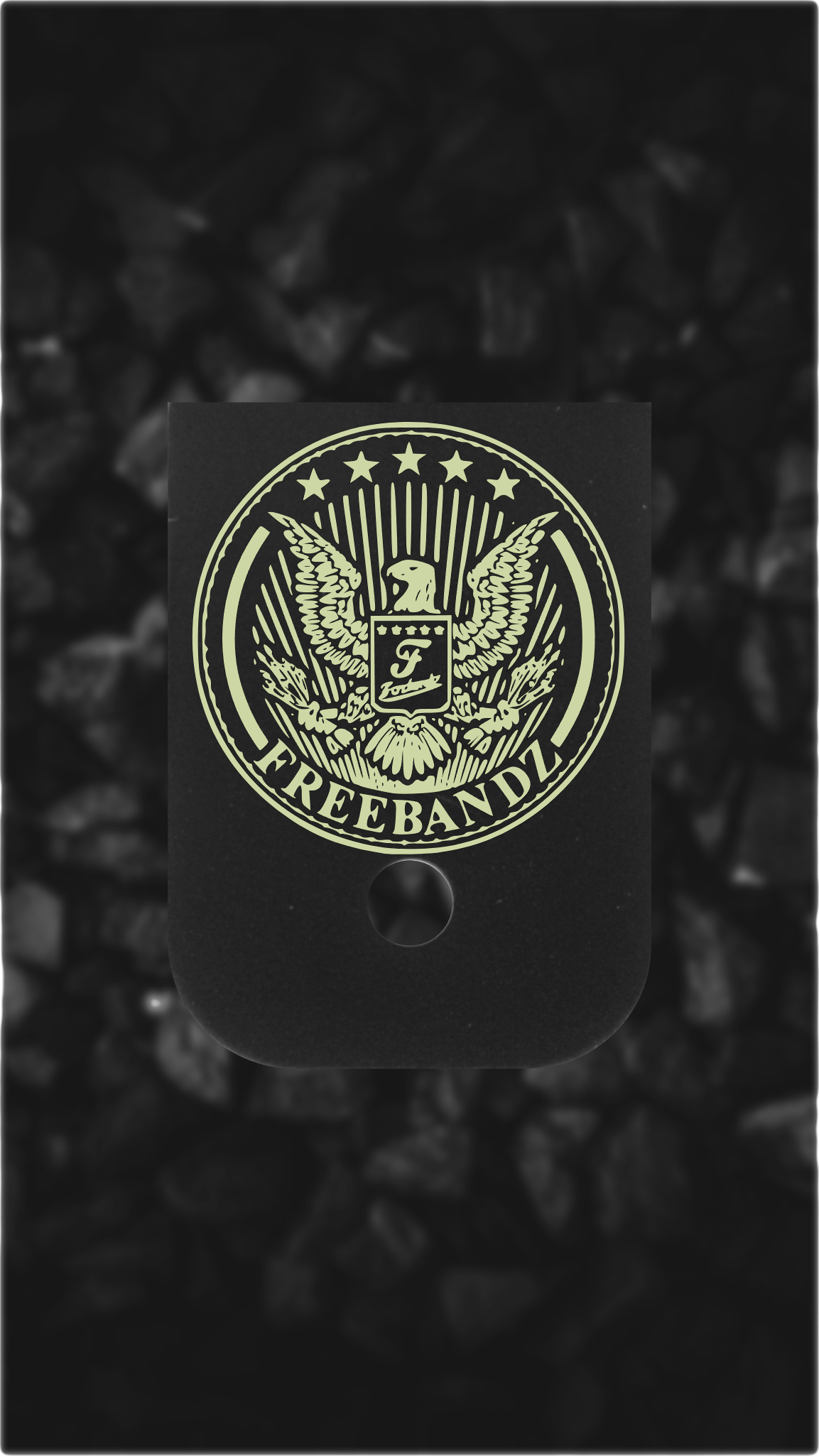 Black Brass Glock back plate eagle seal engraved Glock magazine plate