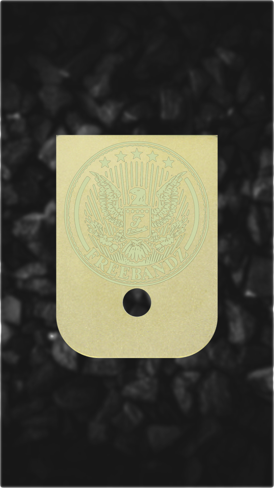 Brass Glock back plate eagle seal engraved Glock magazine plate
