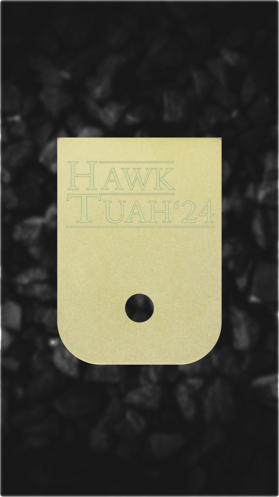 Brass Glock back plate Hawk Tuah 2024 laser-engraved Glock magazine plate